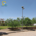 Aluminumn alloy reliable manufacturer 30W solar street light photocell with 5m high pole